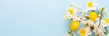 Bahar çiçekleriyle, doğal renklerde yumurtalarla, Paskalya tavşanlarıyla, beyaz nergislerle ve mavi pastel arka planda kiraz çiçekleriyle süslü bir arka plan.