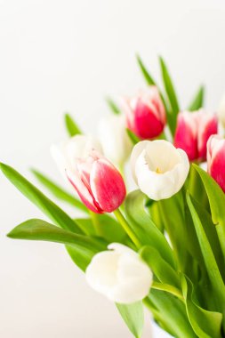 Güzel bahar buketi pembe ve beyaz laleler yakın, doğum günü veya 8 Mart veya anneler günü konsepti