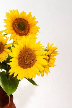 Yaz kırsal buketi kil bir tencerede, parlak sulu dekoratif ayçiçekleri