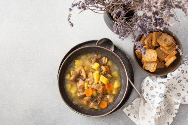 Tabakta istiridye mantarı çorbası, Pleurotus mantarı çorbası ve patates, havuç ve baharat, üst manzara, kopyalama alanı