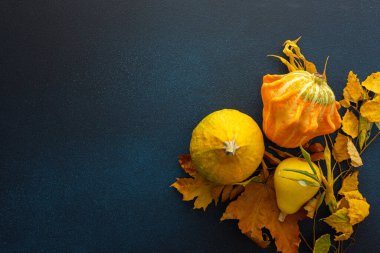 Sonbahar zamanı, çeşitli balkabakları ve düşmüş yapraklar koyu mavi arka planda, sonbahar hasadı