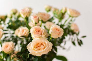 Yakından bir buket narin krema gülleri, çiçeklerle süslenmiş ev dekorasyonu, doğum günü ya da düğün için bir buket gül.