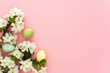 Bahar Paskalya arkaplanı, çok renkli Paskalya yumurtaları ve pembe arka planda çiçek açan elma dalları.