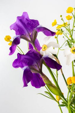 Bir buket bahar çiçeği, süsen çiçekleri ve beyaz nergisli sarı ranunculusla ev içi.