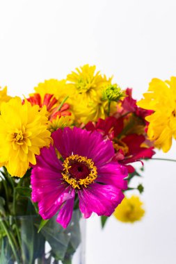 Renkli Zinnia ve Rudbeckia Goldquelle çiçeklerinin yer aldığı bir yaz buketi ev dekorasyonuna canlı bir güzellik katar, mevsimlik olarak mükemmel.