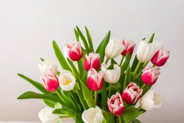Cam bir vazoda pembe ve beyaz lale buketi, doğum günü veya 8 Mart veya anneler günü konsepti.