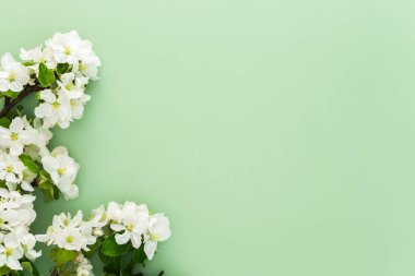 Bahar arkaplanı, çiçek açan elma ağacı dalları yeşil arka planda, boşluğu kopyala