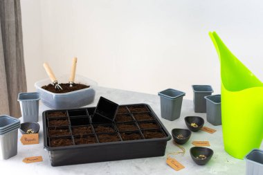 Bahçedeki bahar işleri için hazırlık, evdeki fidelerin üzerine domates ve biber tohumları ekmek, fidanlar için plastik kaplarla dolu bir masa.