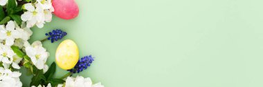 Bahar Paskalya arkaplanı, çok renkli Paskalya yumurtaları ve çiçek açan elma dalları ve nane yaprakları ve yeşil arka planda Muscari çiçekleri, kopyalama alanı, afiş
