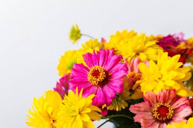 Renkli Zinnia ve Rudbeckia Goldquelle çiçeklerinin yer aldığı bir yaz buketi ev dekorasyonuna canlı bir güzellik katar, mevsimlik olarak mükemmel.