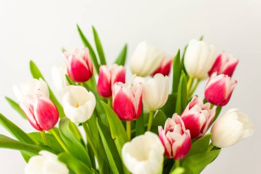 Güzel bahar buketi pembe ve beyaz laleler yakın, doğum günü veya 8 Mart veya anneler günü konsepti