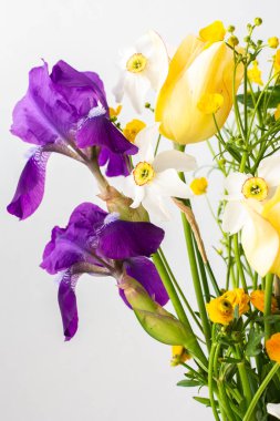 Evin içinde bir buket bahar çiçeği, süsen çiçekleri ve sarı ranunculus, beyaz nergisli sarı laleler