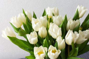 Beyaz laleli güzel bir bahar buketinin yakın plan çekimi. Narin taç yaprakları ve canlı tazeliği sergiliyor. Doğadan esinlenilmiş dekorasyon için mükemmel.