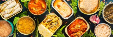 Konserve somon, uskumru, sprat, sardalya, ton balığı, ringa balığı ve balık ezmesi ile dolu açık teneke kutular mavi arka planda baharat ve otlarla çevrili, afiş
