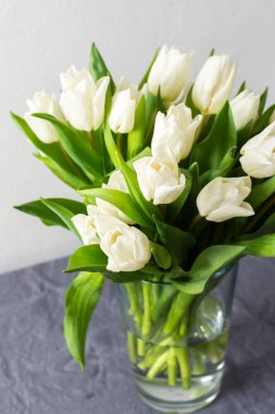 Bir vazoya yerleştirilmiş güzel bir bahar lalesi, doğal ışıkla sıcak bir ev aydınlatacak, huzurlu ve zarif bir atmosfer yaratacak.