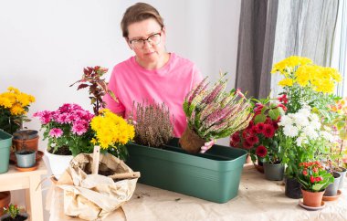 50 yaşında bir kadın, güz çiçeklerini çömleklere naklediyor, balkon ve terasını canlı mevsimlik dekorlarla büyütüyor.