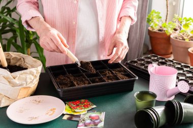 In a bright indoor space, a man uses a small tool to fill seed trays with soil, carefully planting tomato seeds while preparing for the spring gardening season at home.