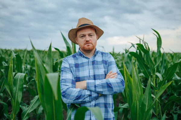 Kareli gömlekli ve hasır şapkalı yetişkin erkek çiftçi bulutlu gökyüzünün altında kolları çaprazlanmış yemyeşil mısır bitkilerinin arasında dikilirken gülümsüyor ve kameraya bakıyor. 