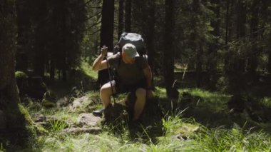 Sırt çantalı yetişkin erkek yürüyüşçü taşın üzerinde otururken ve yürüyüş sopasıyla dinlenirken gün ışığında sık orman ormanlarına karşı yeşil çim tarlasına bakıyor. 