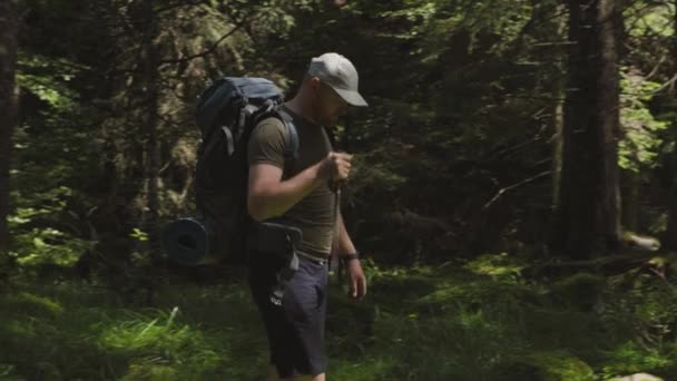 在阳光下 成年男子头戴帽子 背着背包 背着手杖 在绿草地上走着 在朦胧的森林森林里走着 俯瞰四周的景象 — 图库视频影像