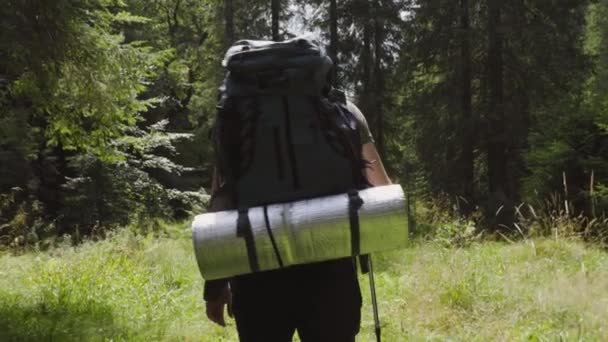 Back View Anonymous Male Hiker Shorts Backpack Mat While Walking — Stock Video