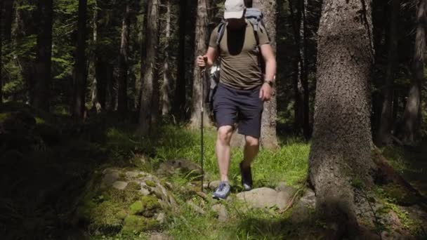成年男性徒步旅行者 头戴礼帽背囊 坐在石头上 手牵着手杖 在绿茵的草地上 在光天化日之下 面对茂密的森林 望着远方 悠闲自在 — 图库视频影像
