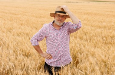 50 'li yaşlarında beyaz bir çiftçi tarlada arpa mahsulü yetiştiriyor.