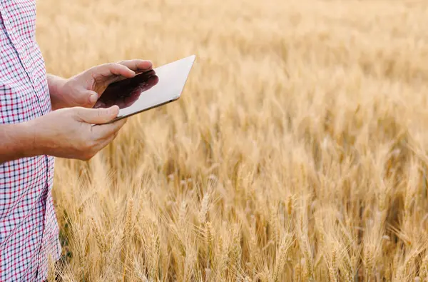 Yetişkin bir adamın tarlada elleri, arpa tohumlarını ustalıkla ekmesi, gururlu bir çiftçinin çalışkanlığını ve adanmışlığını sembolize eder..