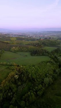 Ormanlar, çayırlar ve yeşil manzaralı yemyeşil bir vadiyi gösteren enfes bir hava videosu sakin ve sakin bir atmosferi çağrıştırıyor.