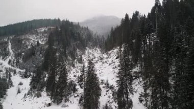 Kesinlikle nefes kesici bir kış sahnesi. Yukarıda sisli bir gökyüzüne sergilenen karla kaplı her yer yemyeşil.