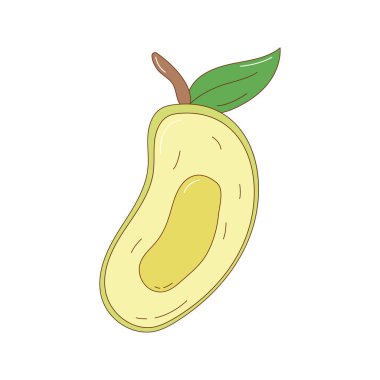 El çizimi mango meyve vektörü çizimi. Yaratıcı el çizimi meyve vektörü ögesi