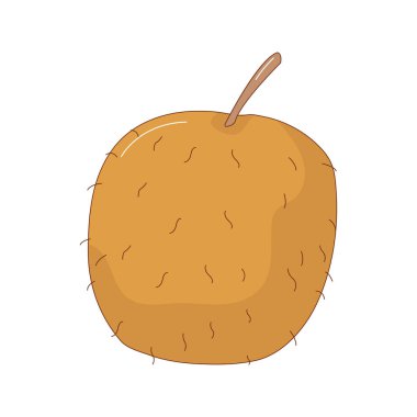 El çizimi kivi meyve vektör çizimi. Yaratıcı el çizimi meyve vektörü ögesi