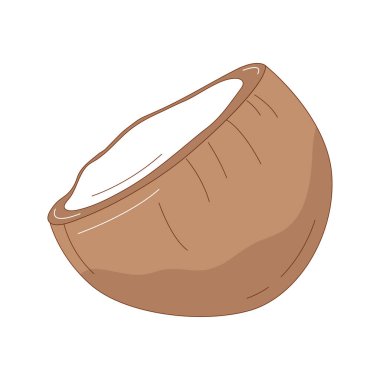 El çizimi hindistan cevizi meyve vektörü çizimi. Yaratıcı el çizimi meyve vektörü ögesi
