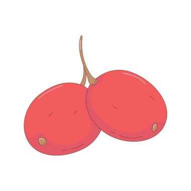 El çizimi kiraz meyvesi çizimi. Yaratıcı el çizimi meyve vektörü ögesi