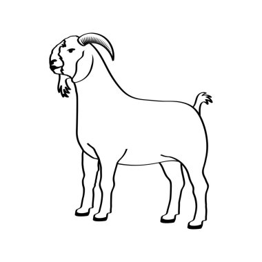 goat line art vector illustration. Eid al-Adha Sacrifice celebration festival