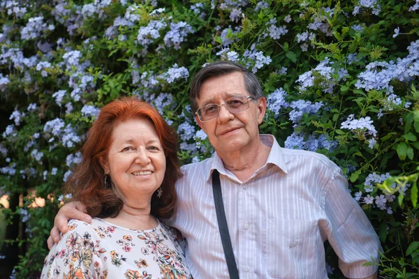 stock image Portrait of a senior Hispanic couple looking at camera in a natural environment, a spring flowering garden. Concepts: enjoyment of nature, active retirement.