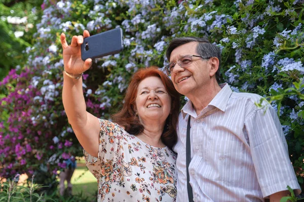 Feliz Pareja Hispana Mayor Tomando Autorretrato Con Smartphone Jardín Rodeado Imagen de archivo