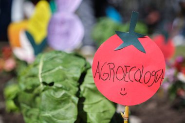 Buenos Aires, Arjantin, 21 Eylül 2021: Arazi Erişim Yasası 'nı talep eden, tarım ve sürdürülebilir tarımı savunan UTT' nin protestosunun ayrıntıları. Adalet sözcüğüyle kağıt domates