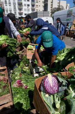 Buenos Aires, Argentina, 21 sept, 2021: UTT, Union de Trabajadores de la Tierra, Land Workers Union, gave free organic food, fruits and vegetables, demanding the approval of the Land Access Law.