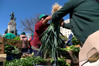 Buenos Aires, Arjantin, 21 Eylül, 2021: UTT, Union de Trabajadores de la Tierra, Arazi İşçileri Sendikası, Arazi Erişim Kanunu 'nun onayını isteyen bedava organik gıda, meyve ve sebze dağıttı..