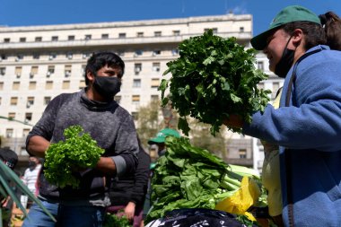 Buenos Aires, Arjantin, 21 Eylül, 2021: UTT, Union de Trabajadores de la Tierra, Arazi İşçileri Sendikası, Arazi Erişim Kanunu 'nun onayını isteyen bedava organik gıda, meyve ve sebze dağıttı..