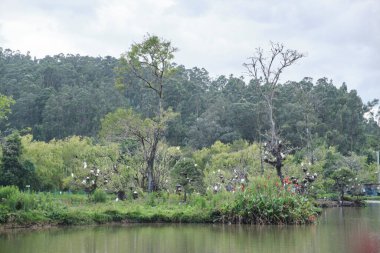 Sopo Köprüsü Parkı, Cundinamarca, Kolombiya 'da dinlenme ve doğa ile bağlantı yeri.