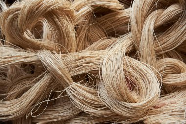 Fique fiber, Kolombiya 'da geleneksel olarak halat, çuval ve el işi ürünlerinde kullanılan bir sebze malzemesi. Dokulu doğal arkaplan.