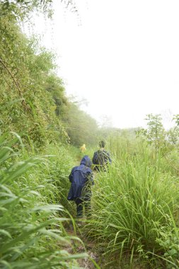 Arkadan görülen bir grup tanınmayan insan otlarla çevrili kırsal bir yolda yürüyor..