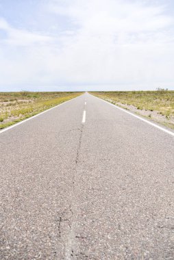 Ufukta düz ve simetrik uzanan boş bir yolun alçak açılı görüntüsü, gelecek kavramını yansıtabilen sessiz bir yolculuğun sahnesi, ileriye doğru hareket ediyor. La Pampa, Arjantin manzarası