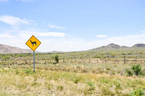 stock image Traffic sign with a guanaco, indicating the presence and possible crossing of native fauna, warning drivers to avoid accidents and running over animals. The roadside signal is located in La Pampa, Argentina.