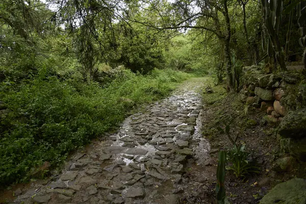 Lengerke Yolu, Kolombiya, Santander 'da Barichara ve Guane arasında tropikal bitki örtüsüyle çevrili restore edilmiş bir kraliyet yoludur. Doğanın tadını çıkarmak isteyen turistler ve yürüyüşçülerin uğrak yeri..