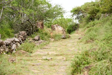 Santander, Kolombiya 'da Barichara ve Guane arasındaki tarihi patika. Doğanın tadını çıkarmak isteyen turistler ve yürüyüşçüler tarafından sıklıkla ziyaret edilen yeşil huzurlu bir yol..