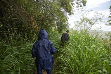 Arkadan bir çift tanınmayan insan otlarla çevrili kırsal bir yolda yürüyor..