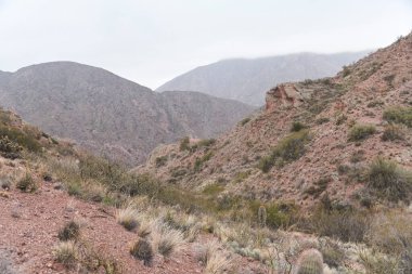 Arjantin 'in Mendoza eyaletindeki And sisli manzarası. Dağların kenarları sislerin arasından görülebilir..